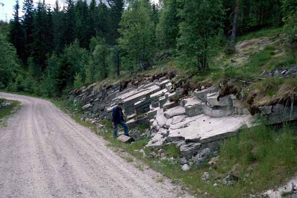 3.3 Sauherad kommune Geologien i Sauherad kommune utgjøres i den vestlige og sydlige del av røde gneiser og granitter.