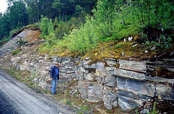 3.4 Tinn kommune I veiskjæringer langs skogsbilvei ved Mæl, opptrer en tykkspaltende grå arkosisk bergart. (Fig. 11 og 12). Overdekkningsgraden er for stor til å få noen godt inntrykk av bergarten.