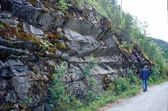 Det er klart ar det er et muligheter for å kunne finne forekomster av murestein i Nore-Uvdal kommune.
