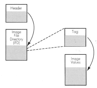 GIF Graphics Interchange Format (GIF) er et rasterformat med komprimeringsmuligheter, utviklet av ComputerServe. Komprimeringen er ikke så effektiv i GIF som i JPEG.