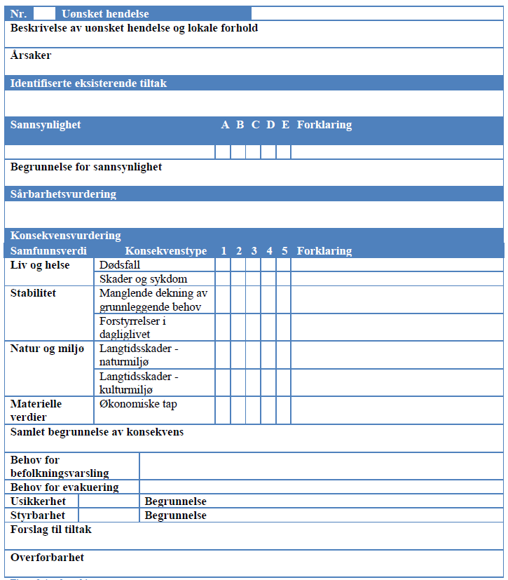 Analyseskjema