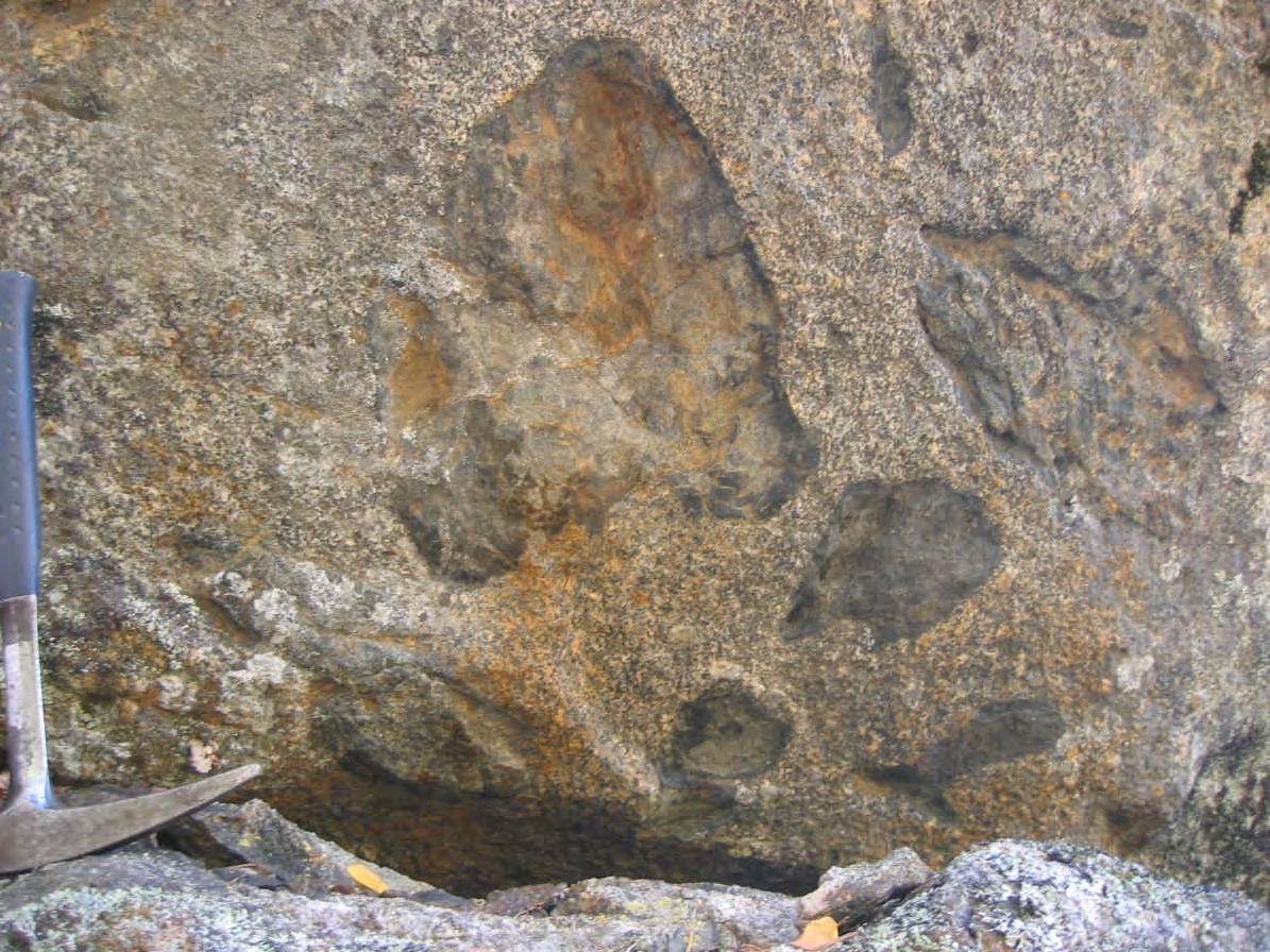 gir ikke grunnlag for en vurdering av forekomsten. Befaringen av de gabbroide bergartene lengre nord på Lille Haugfjell og Trongdalsfjellet viser at mineraliseringstypen ikke fortsetter mot nord.
