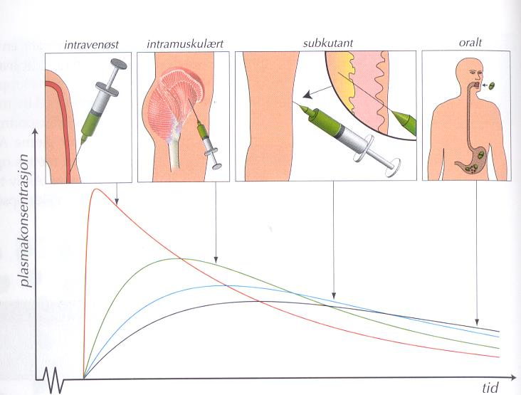 En dose gitt intravenøst, intramuskulært,