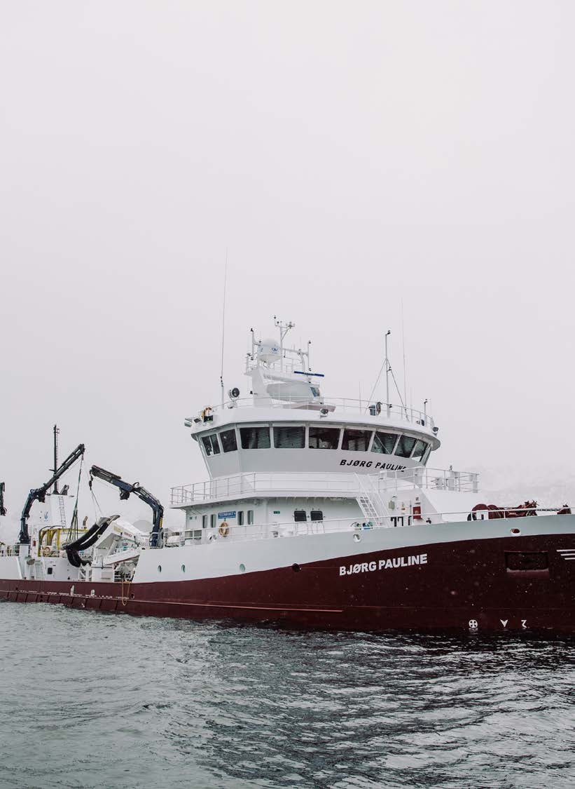 Transport av levende fisk Brønnbåten «Bjørg Pauline» sjøsatt i 2010. Diesel-elektrisk fremdrift.