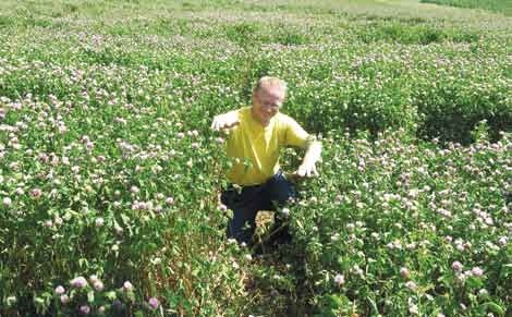 Trygve S. Aamlid et al. / Bioforsk FOKUS 1 (2) 147 Bilde 3. Ringleder Oddbjørn Kval-Engstad i forsøksfeltet Helgøya, Hedmark.