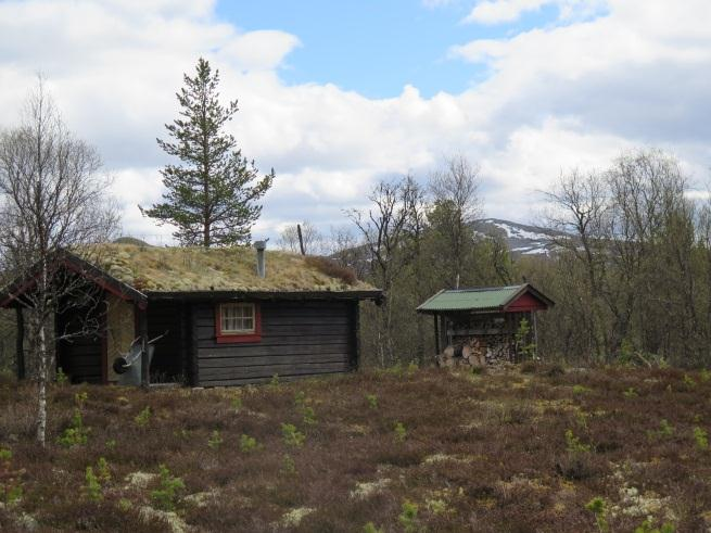 Søknaden er vurdert i forhold til: Naturmangfoldloven av 19. juni 2009 Verneforskrift for Sølen landskapsvernområde av 18.