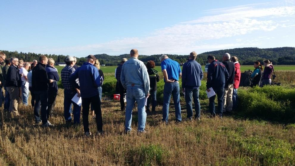 Aktiviteter i prosjektet Deltakelse på markdager og fagdager Møter med de