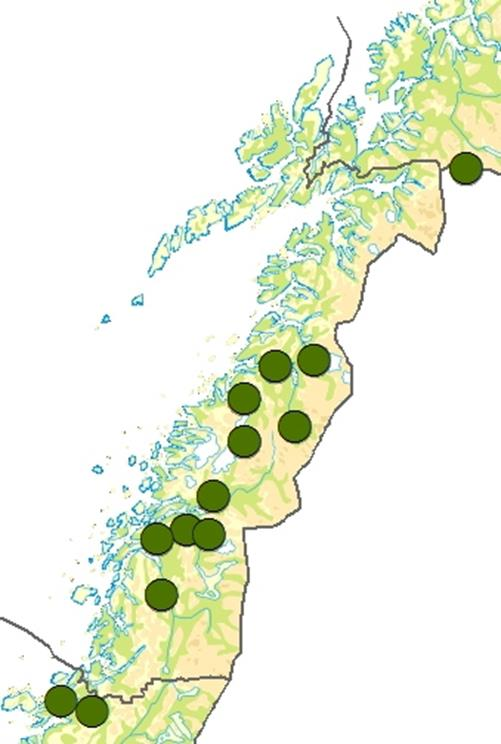 Figur 1: Antall godkjente familiegrupper av gaupe i Nordland 1996-2013. Bestandsmålet er vist med sort linje.