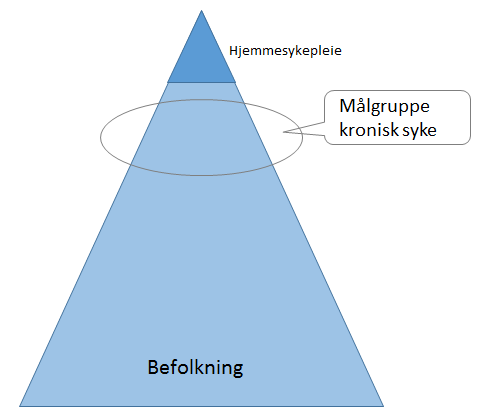 Målgruppe for avstandsoppfølging Kronisk syke som enda ikke har behov for tradisjonelle hjemmetjenester I Kronisk syke som enda ikke har behov E./\.