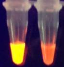 Loop-mediert Isotermal DNA-amplifisering (LAMP) Oppsummering og konklusjon Et isotermal, brukervennlig alternativ til PCR, f.eks. pasientnær analysering.