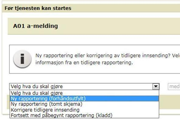 ID (enten norsk ID-nummer eller internasjonal ID) Type arbeidsforhold Ansattdato Yrkeskode (fra SSB) Avlønningstype (fastlønn, timelønn, akkord, provisjon eller honorar) Stillingsprosent Timer i uken