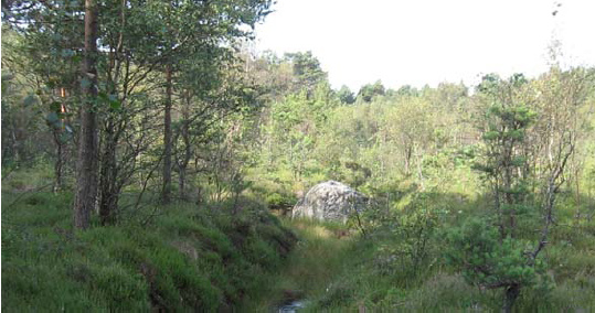 NATUR I ØSTFOLD 26(1-2) 2007 Utviklingen av landformene og løsmassene i og omkring Kalnesgropa Fig. 14.