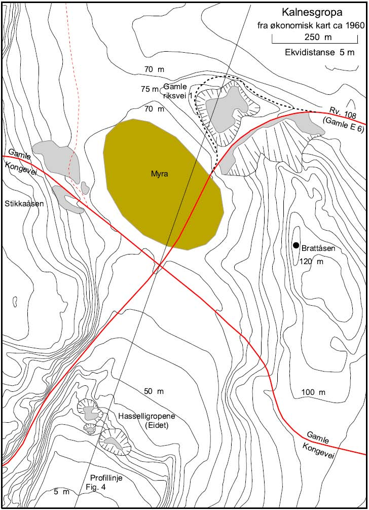 Tormod Klemsdal NATUR I ØSTFOLD 26(1-2) 2007 Fig. 24.