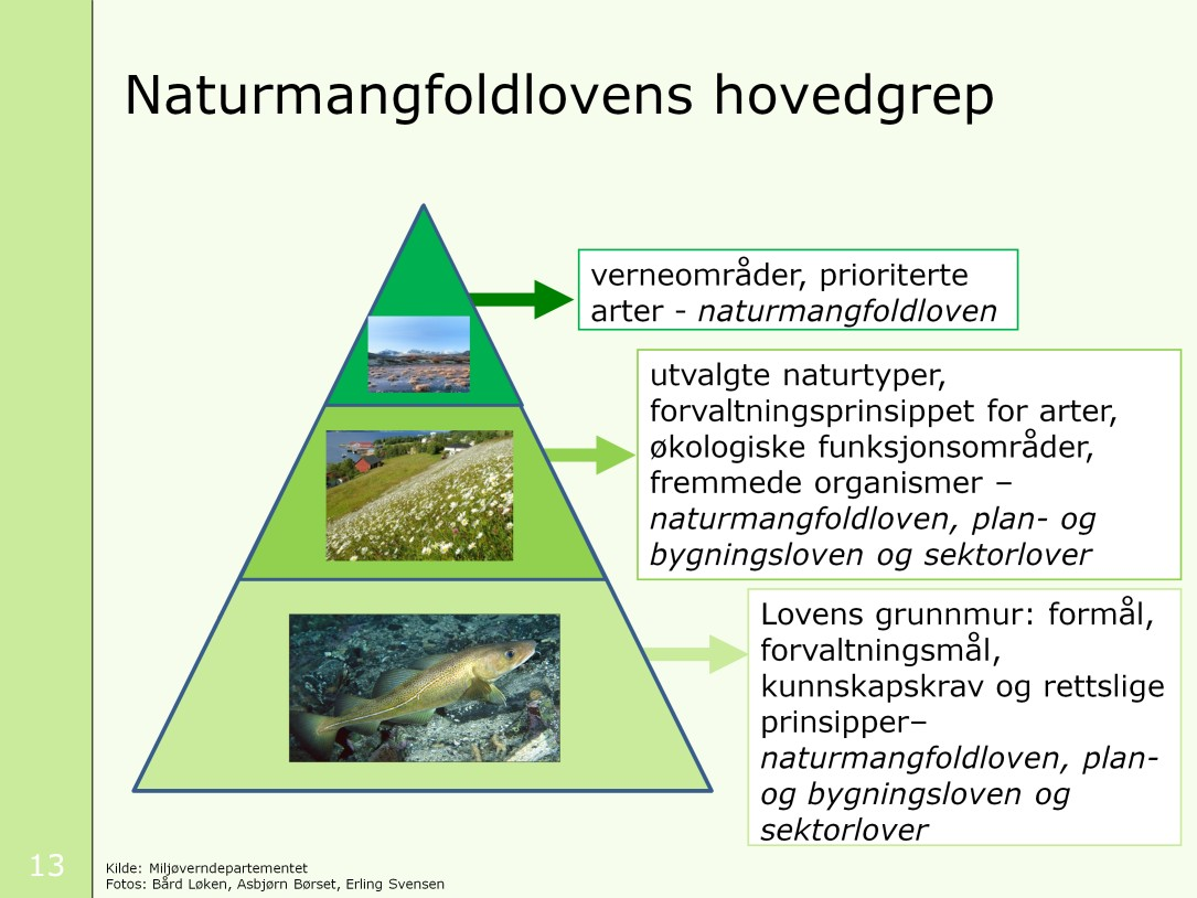 Denne pyramiden viser naturmangfoldlovens hovedgrep. Øverst i pyramiden har vi verneområder og prioriterte arter; det mest verdifulle og indrefiléten av norsk natur.