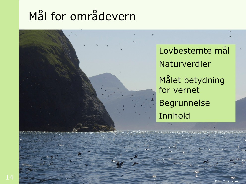 Bildet er fra Einevarden naturreservat i Vågsøy kommune i Sogn og Fjordane. Målene har natur i sentrum. Verneområder skal bidra til bevaring av minst ett av de lovbestemte målene.
