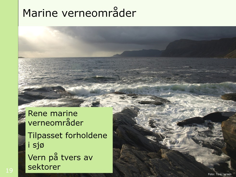 Bildet viser Stadtlandet. Rene marine verneområder, herunder naturverdier som er økologiske betingelser for landlevende arter.