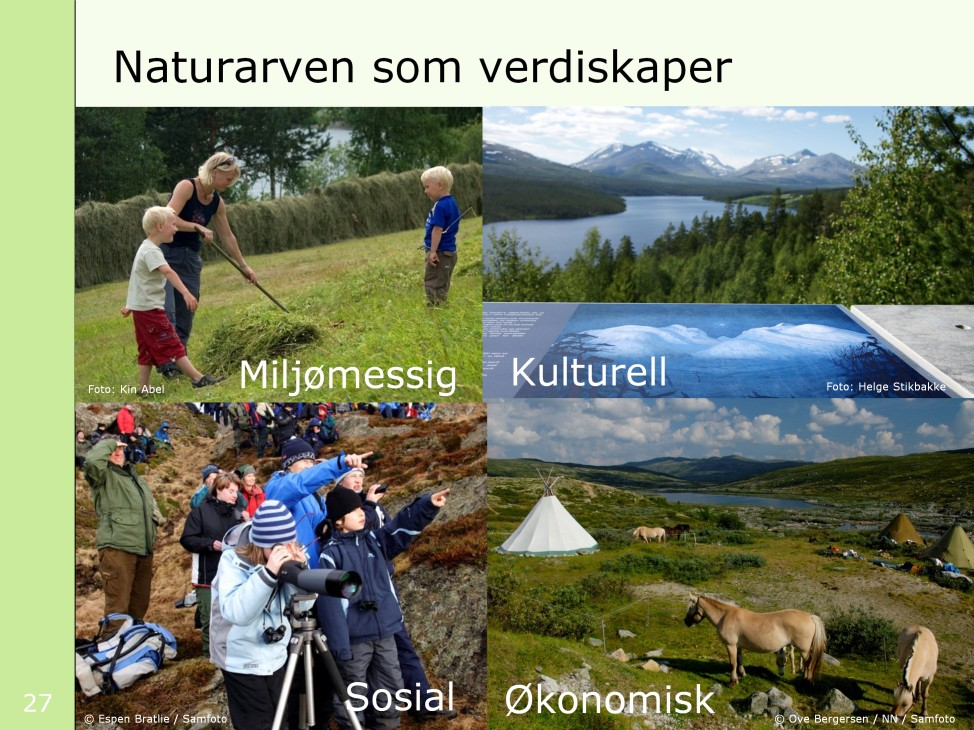 Vi har mye fin natur i Norge, men vi må lære oss å servere den bedre. Verneområdene og andre verdifulle naturområder er en viktig ressurs i samfunnsutviklingen.