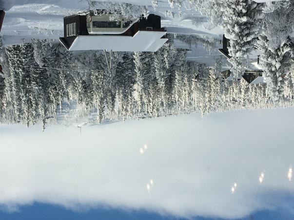 HAGLEBUPOST Nr. 272 Dato: 16.02.17 Temp: +4 grader (Kakelina = dialekt ) Snødybde: Ca 30 cm men litt vanskelig å si Skispor: Se skisporet.