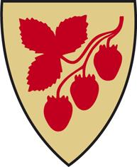 NORDDAL KOMMUNE Reglement for: Folkevalde og