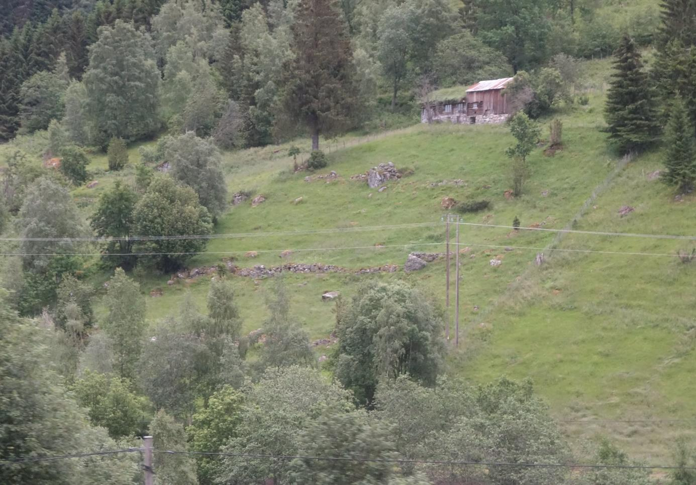 Kartlegging av utvalde naturtypar i Møre og Romsdal 2015 1. april 2016 17 pløyast, grøftast, sprøytast eller gjødslast.
