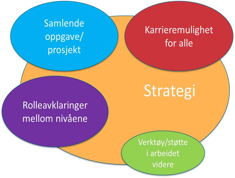 Forslag til tiltak Et hovedfunn i kartleggingen er behovet for bedre forskningsledelse på alle nivå i organisasjonen, og tiltak som styrker strategisk forskningsledelse bør prioriteres.