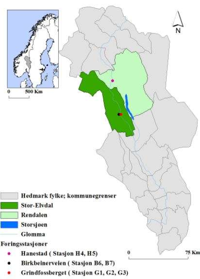 Figur 1: Kart over Skandinavia med Hedmark fylke i grått, og kommunene Stor-Elvdal og Rendalen uthevet i grønt.
