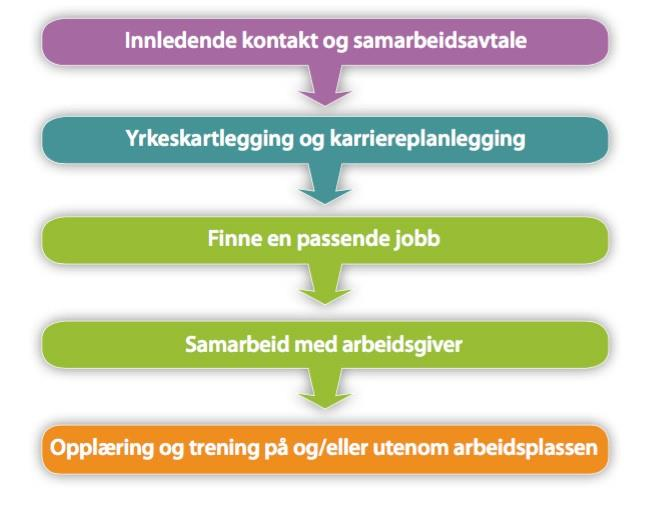 Supported Employment(SE) i NAV