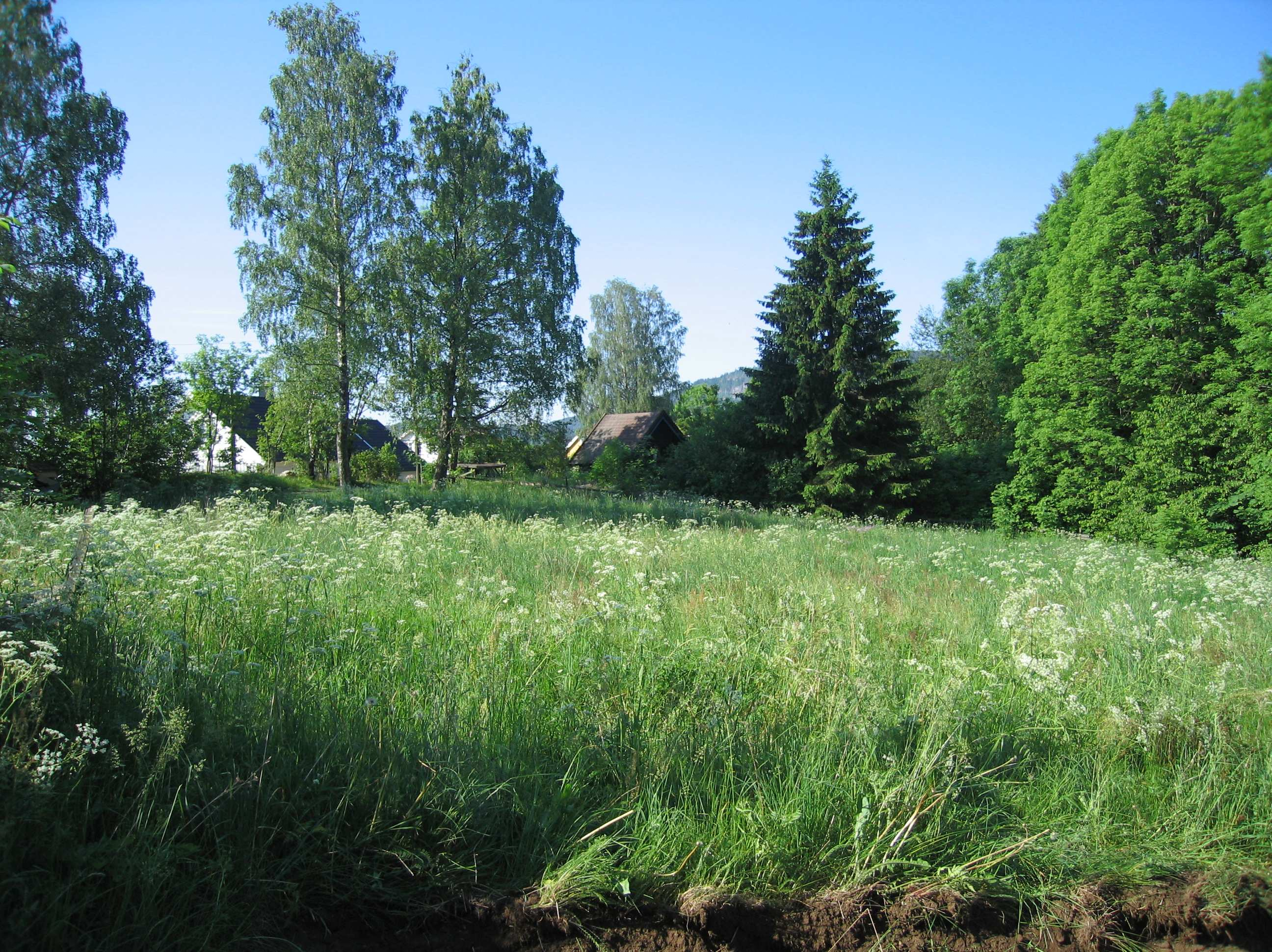 Foto 2: Utsikt fra planområdet med Rykkinveien i forgrunnen, tatt mot sørøst.