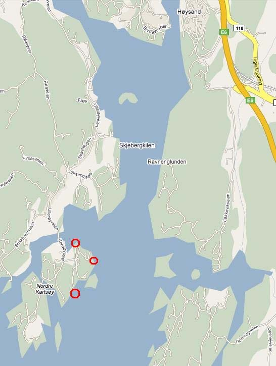 1 INNLEDNING Wergeland Krog Naturkart har på oppdrag for Petter Karlsøen gjennomført en naturfaglig vurdering av en planlagt utvidelse av tre brygger på Karlsøy i Sarpsborg kommune.