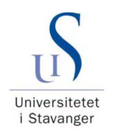 UNIVERSITETET I STAVANGER Det humanistiske fakultet Institutt for allmennlærerutdanning og