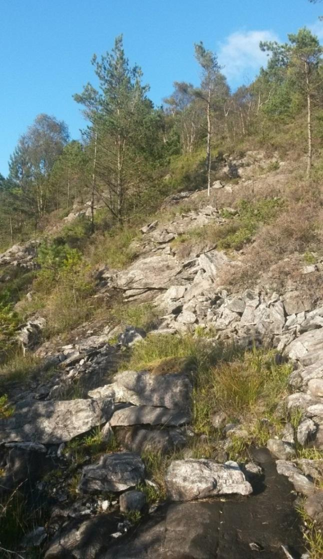 Geologisk rapport for områdeplan 17 av 26 Risikotolkning: Retningen av hovedsprekkene gir en god stabilitet, men noen få skrenter kan være en liten kilde for steinsprang.