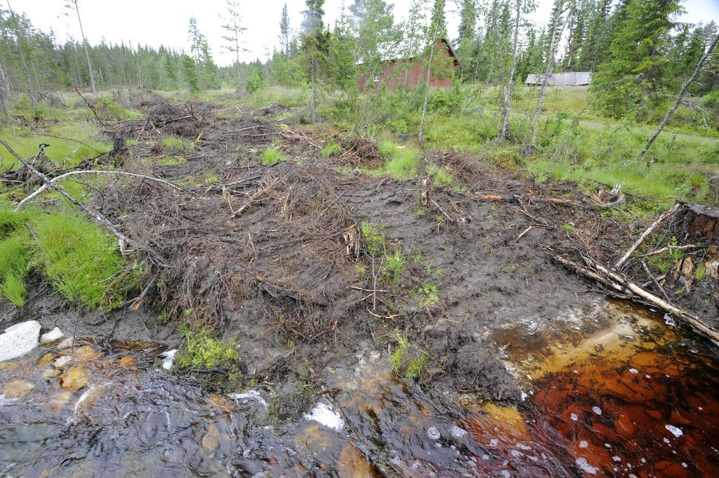 Dype hjulspor ved Holmsjøen i Åmot Skogbruket har et meget stort sektoransvar, men dagens miljøambisjoner er for dårlige til å bidra til å stanse artstapet.