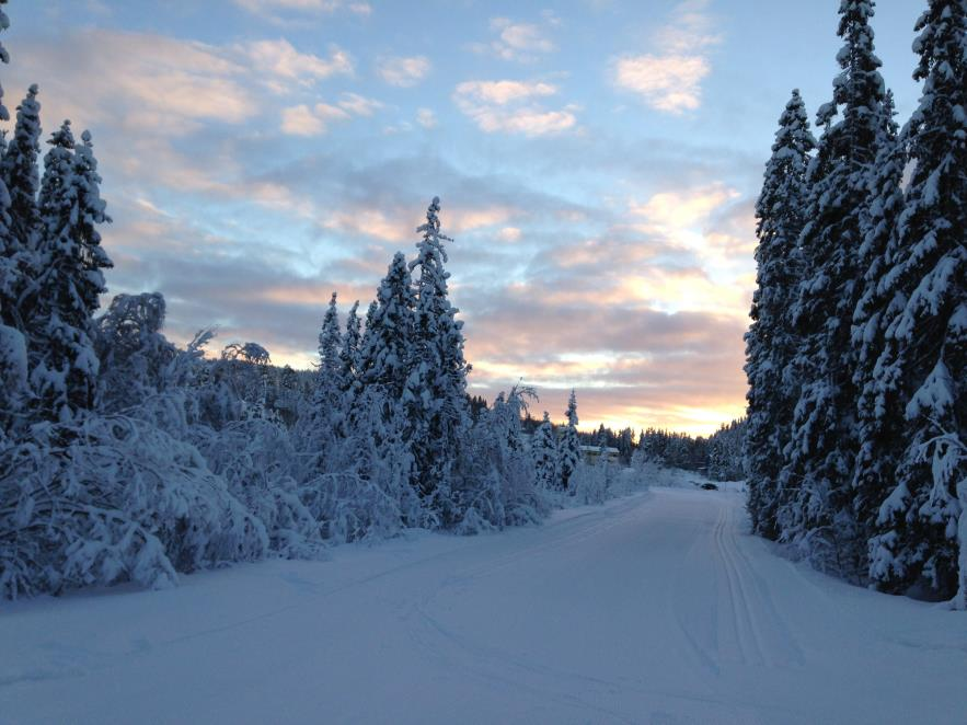 Månedsbrev for Steingrua JANUAR 2017 Samisk prosjekt Vinter