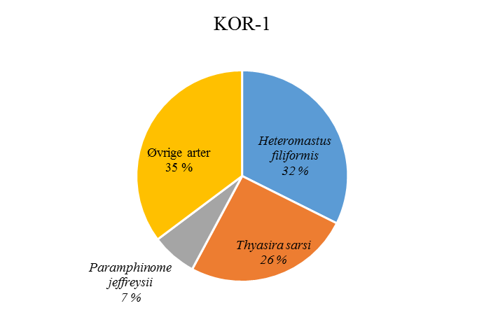 Tabell 3.1.1.1 De ti hyppigst forekommende artene ved KOR-1, oppgitt i antall og prosent, samt NSI-gruppe for de respektive artene.