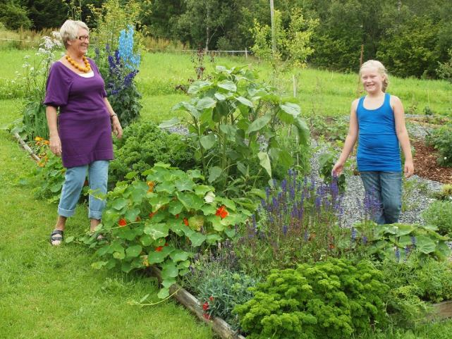 Kjøkkenhagens potensiale Eksempel fra London: En veranda på 5 m 2 og i 6 vinduskarmer 66 kg mat til sammen av vekster som salat, urter, tomat, bønner, squash gulrot, potet, blåbær, jordbær