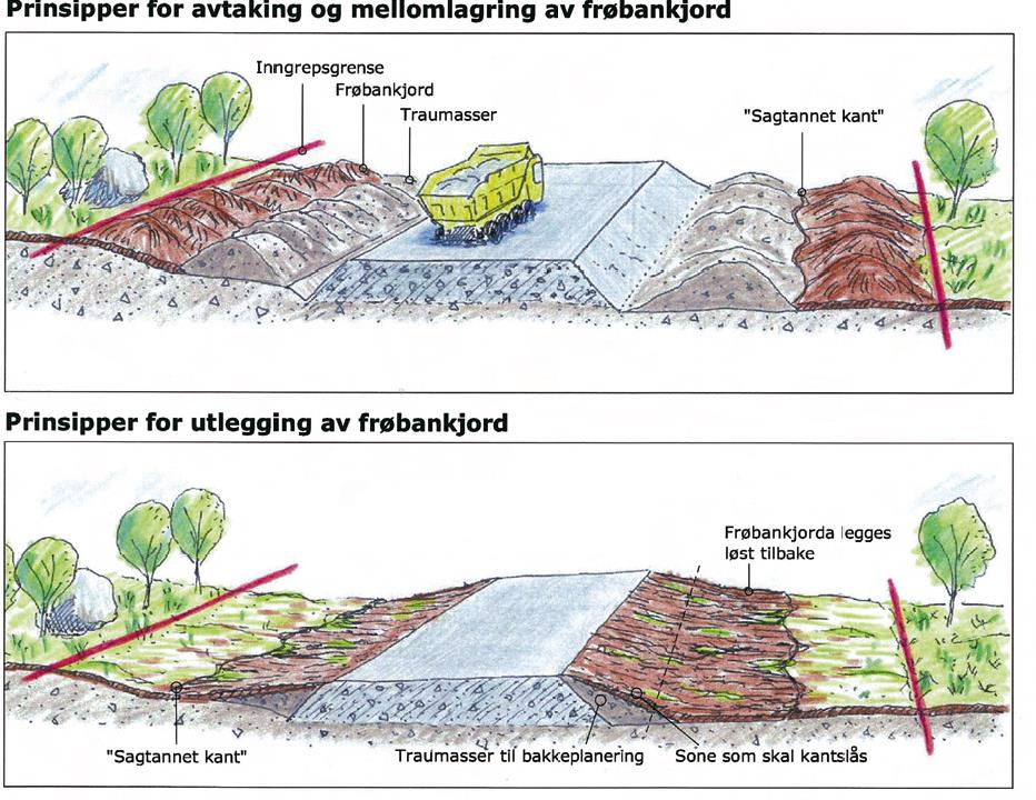 Veistrekket ble åpnet i desember 2007. På et tidlig stadium av revegeteringsprosessen ble det gjort vegetasjonsundersøkelse av masterstudent Nystad (2006).