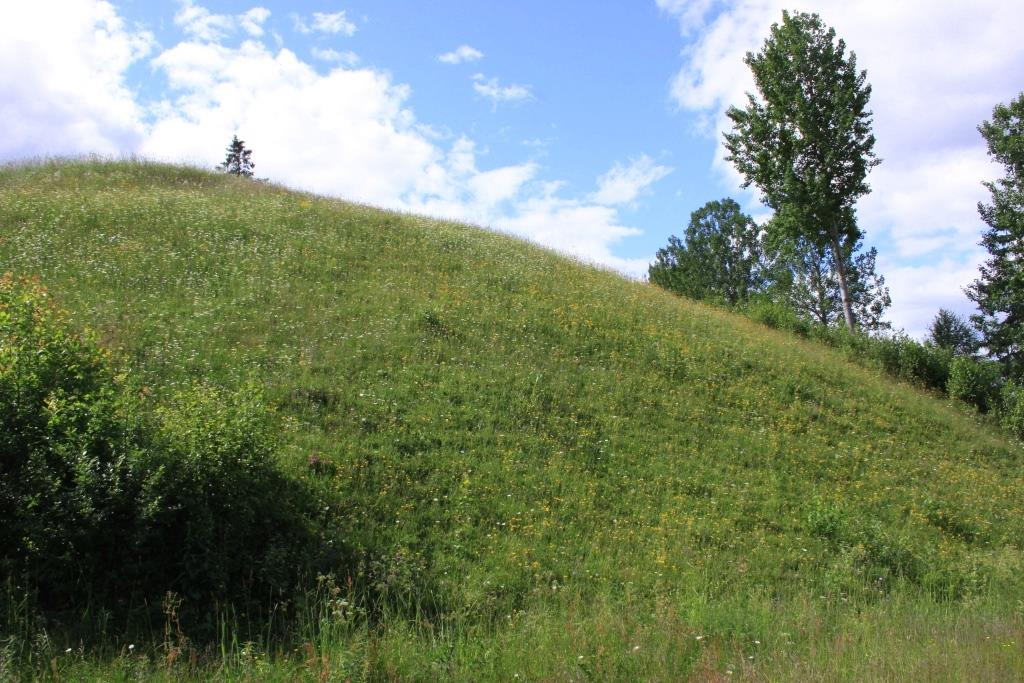 Skjøtselsplan for Sørhaug, slåttemark i Nordre Land kommune, Oppland fylke. OVERSIKTSBILDE fra lokalitet Figur 1. Bildet viser sentrale deler av slåttemarka. Bildet er tatt mot nord-vest fra ca.