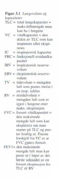 Allergi og idrett Allergisk rhinoconjunctivitt; røde,rennende, kløende øyne Nesetetthet, rennende, kløende nese.