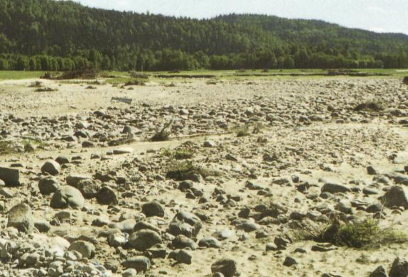 Foto: Ola Nørdsti Totalt ca 140 000 dekar jordbruksmark ble oversvømt, hvorav ca 100 000 dekar i Hedmark.