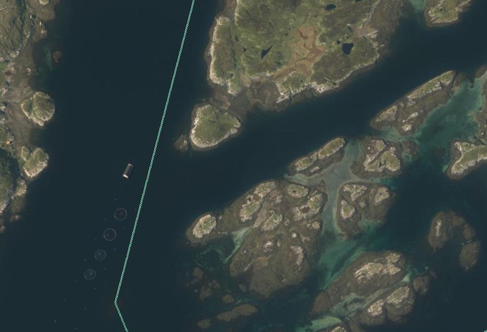 4 Flyfoto viser at anlegget er plassert nært grensen til verneområdet med dyrelivsfredning (verneområdet er til høyre for grønn strek).
