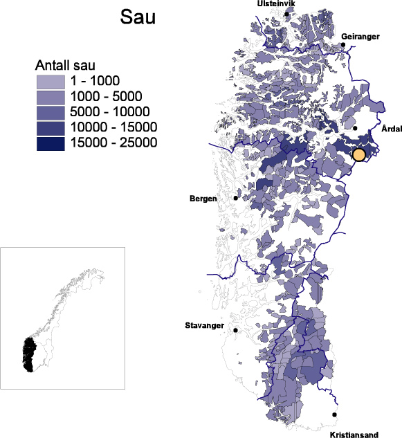 11. Vedlegg: Regional utbredelse i 2003 og regionale mål for rovviltforekomst Figur 6-10: Dagens forekomst av rovdyr og sau i region 1.