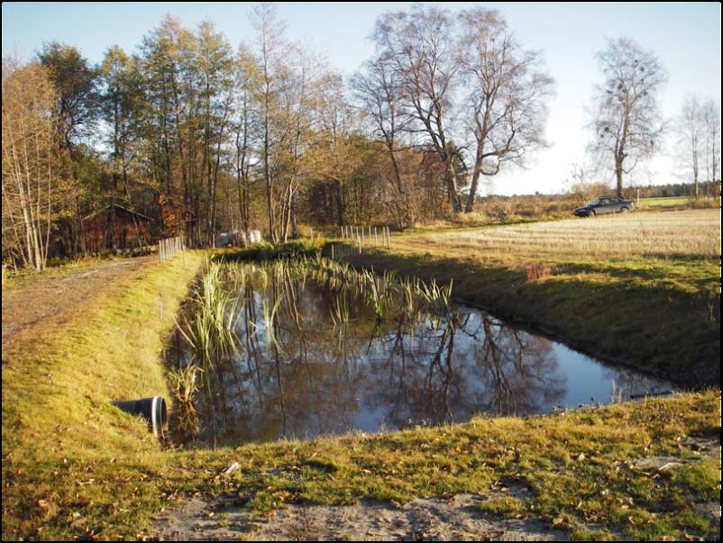 Forskningsprosjektet Høy