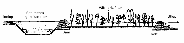 Figur 1. Skjematisk snitt av fangdam, med sedimentasjonskammer, terskler og vegetasjonsfilter (Her kalt våtmarksfilter) (Braskerud, 2001). De første fangdammer ble anlagt i 1990.