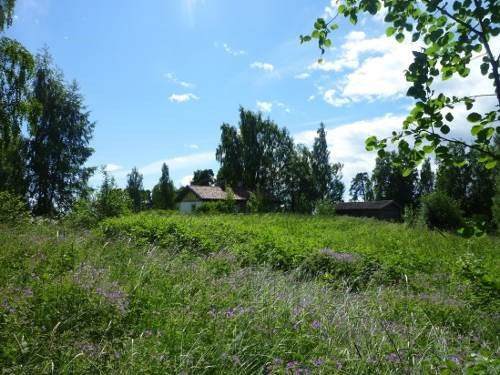 Det gamle eng- og åkerarealet nedenfor plassbebyggelsen er også i ferd med å gro igjen med trær og busker. Bildet nedenfor viser situasjonen i juni 2012.