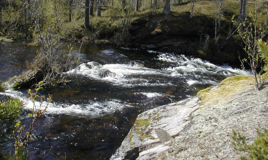 Ut i fra konsekvens av et eventuelt brudd på dam og trykkrøret er det foreslått bruddkonsekvensklasse 0. 2 INNTAKSDAM Inntaksdammen plasseres i elveutløpet av Gardsvatnet.