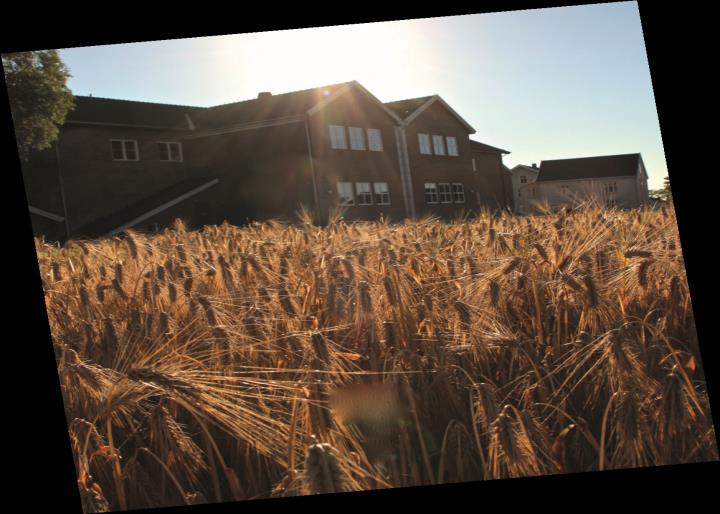 Skjønhaug skole Boklansering