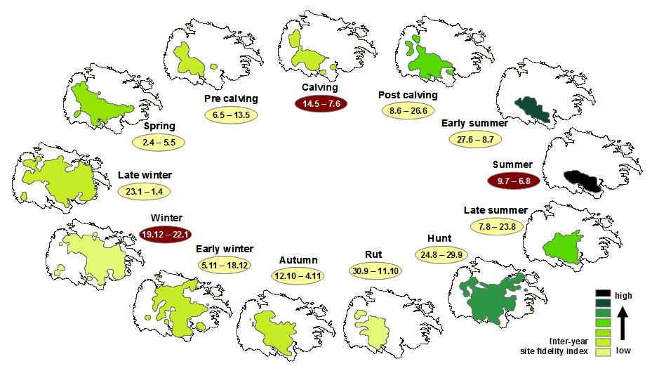 Figur 2. De store sammenhengende arealene på Hardangervidda gjør at villreinen kan opprettholde en stor bestand ved å utnytte sesongvise beiter gjennom lange vandringer (Strand et al. 2006).