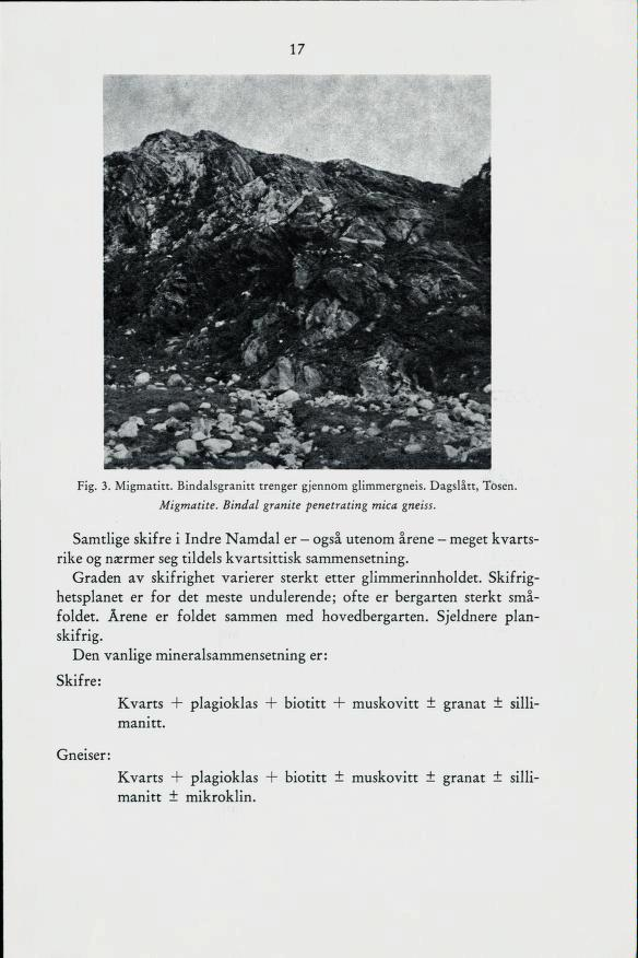 17 Fig. 3. Migmatitt. Bindalsgranitt trenger gjennom glimmergneis. Dagslått, Tosen Migmatite. Bindal granite penetrating mica gneiss.