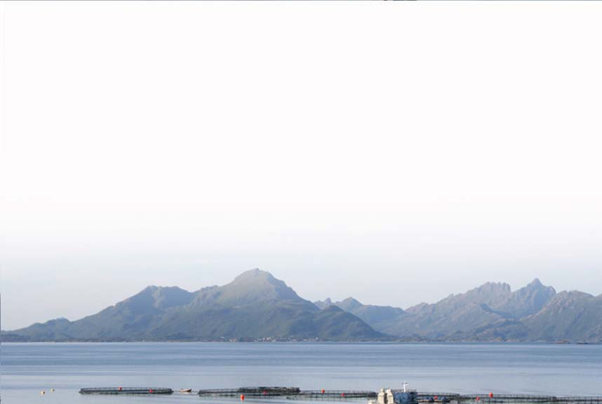 Norge som internasjonalt ledende havbruksnasjon
