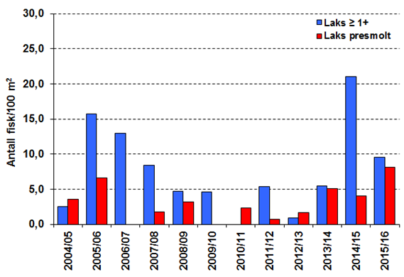 Figur 11: Estimerte, totale ungfisktettheter i Tusso, i perioden 2004-15. Blå søyle er vintertetthet av fisk med alder 1+. Rød søyle i samme gruppe er presmolttetthet vinteren ett år senere.